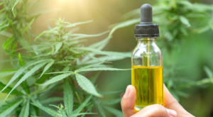 Finer Choices for the best CBD Usage Now
