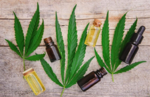 CBD Works To Improve the Digestive System of Your Body