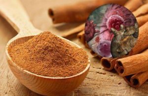 Cinnamomum Extract To Enable You The Powerful Restoration Of Your Health