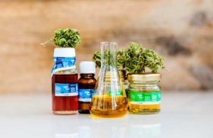 Finding The Best CBD Products